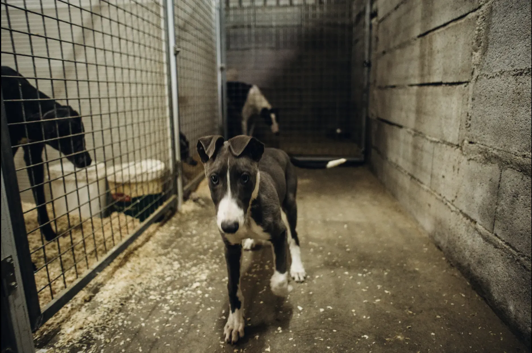 Schermata 2019 07 05 alle 12.59.42