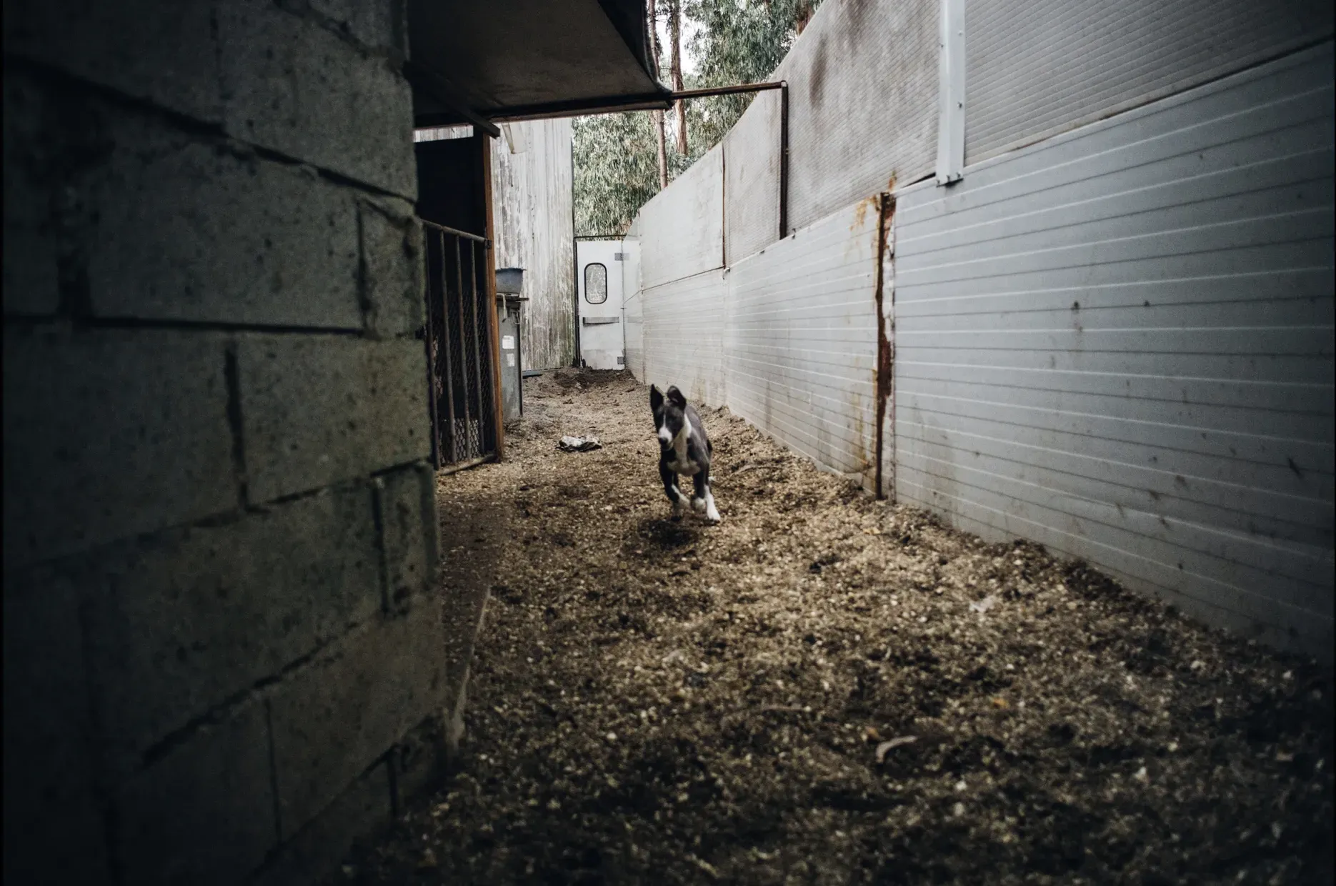 Schermata 2019 07 05 alle 12.59.52