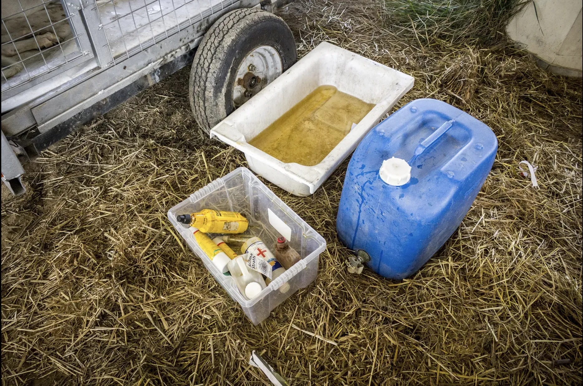 Schermata 2019 07 05 alle 12.59.56