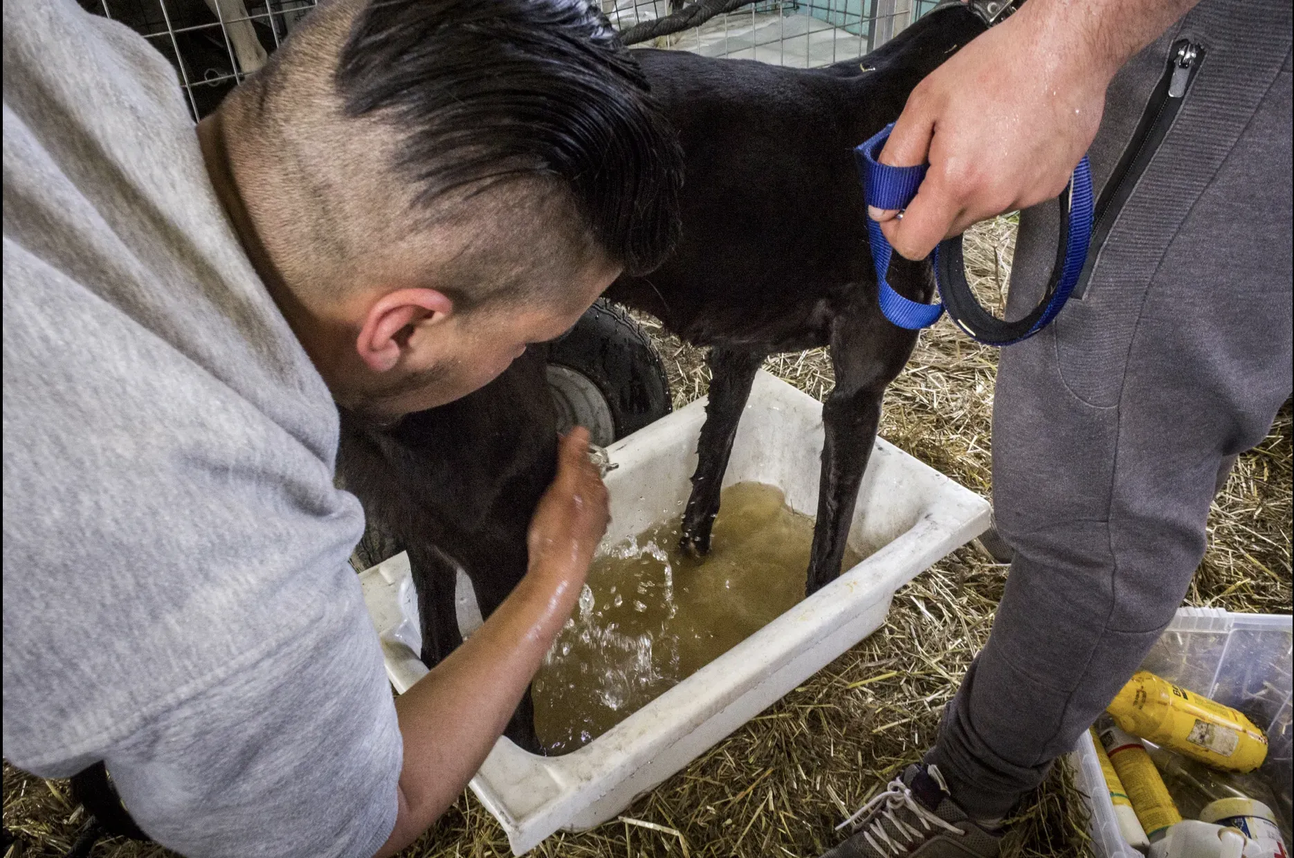 Schermata 2019 07 05 alle 13.00.00