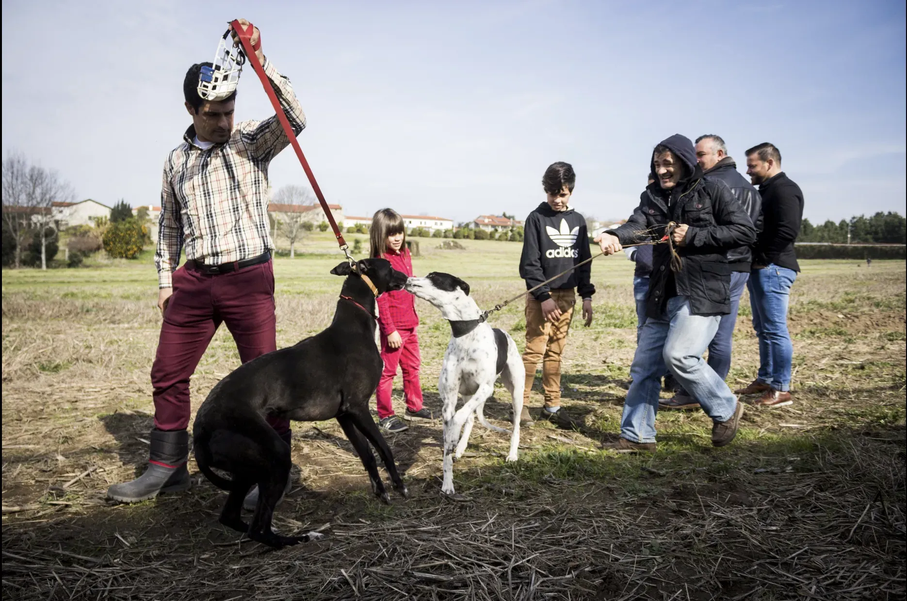Schermata 2019 07 05 alle 13.00.04