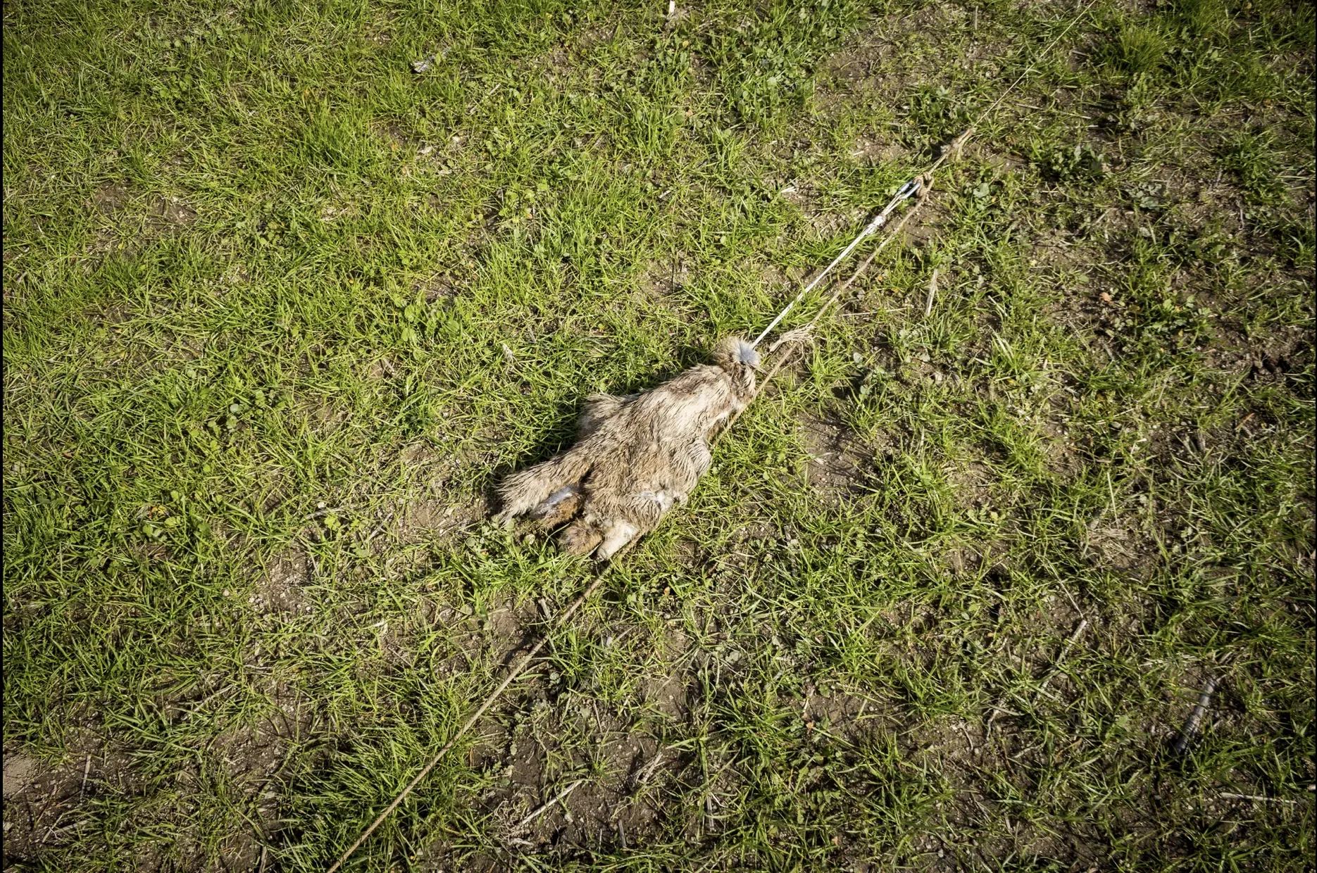 Schermata 2019 07 05 alle 13.00.15