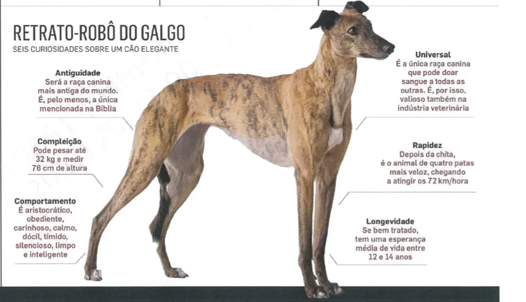 Schermata 2019 08 23 alle 19.26.16