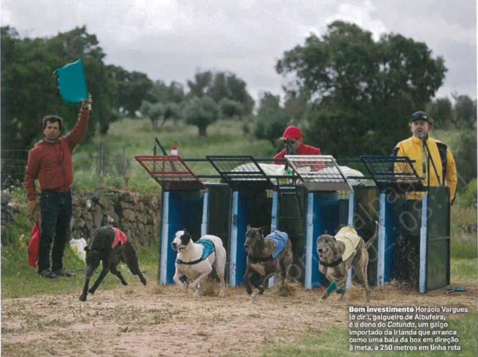 Schermata 2019 08 23 alle 19.33.03