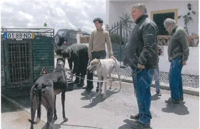 Schermata 2019 08 23 alle 19.33.24