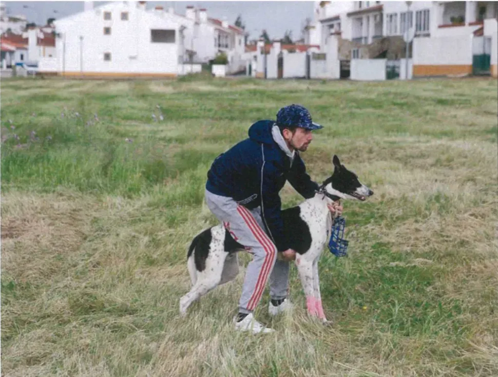 Schermata 2019 08 23 alle 19.33.44