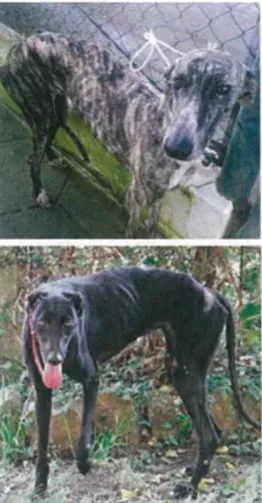 Schermata 2019 08 23 alle 19.34.26