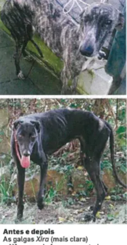 Schermata 2019 08 23 alle 19.34.31