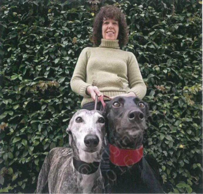 Schermata 2019 08 23 alle 19.34.48