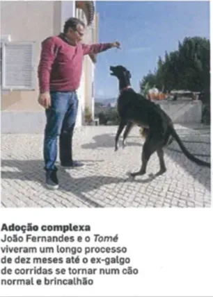 Schermata 2019 08 23 alle 19.35.15