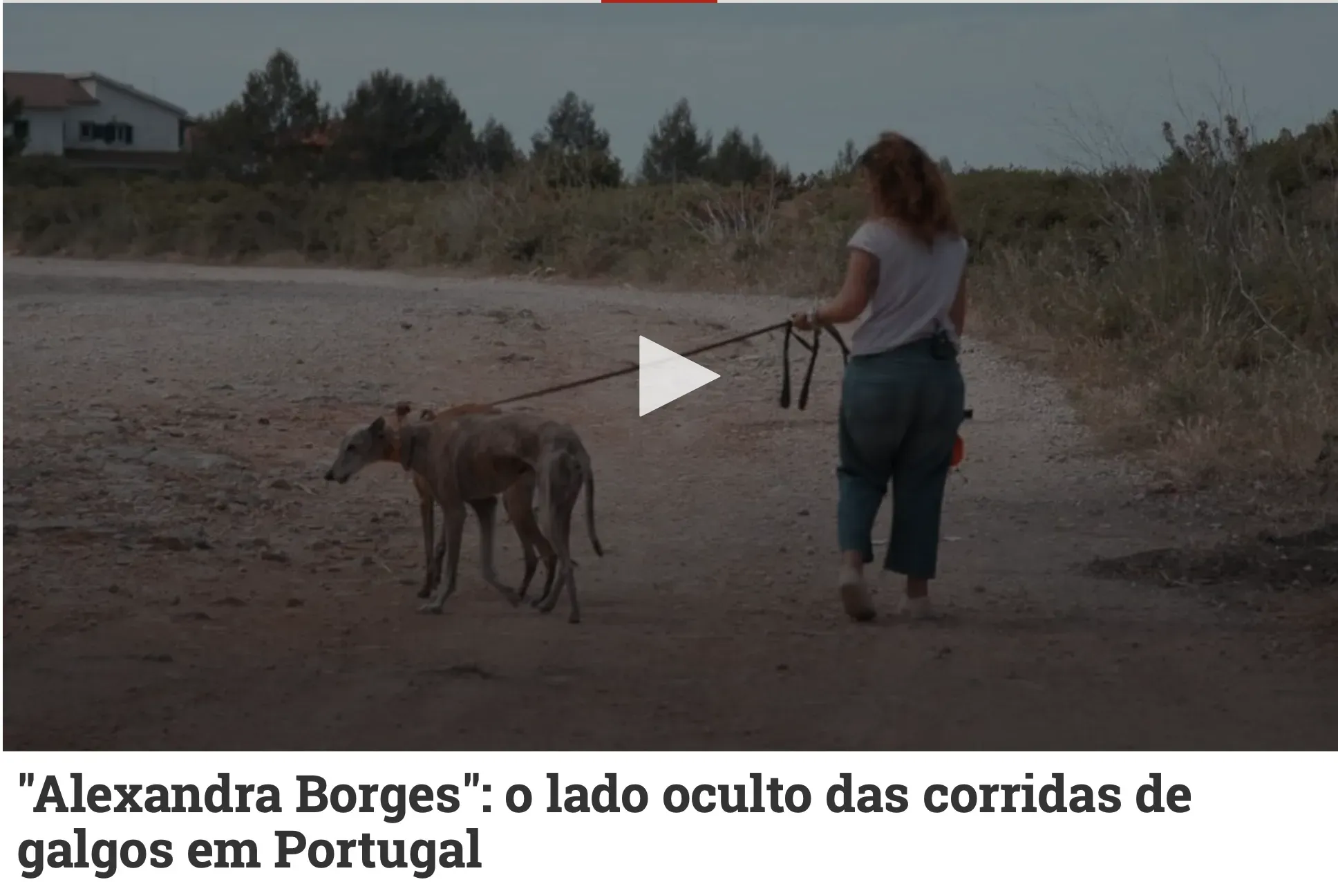 Schermata 2019 11 08 alle 17.49.43