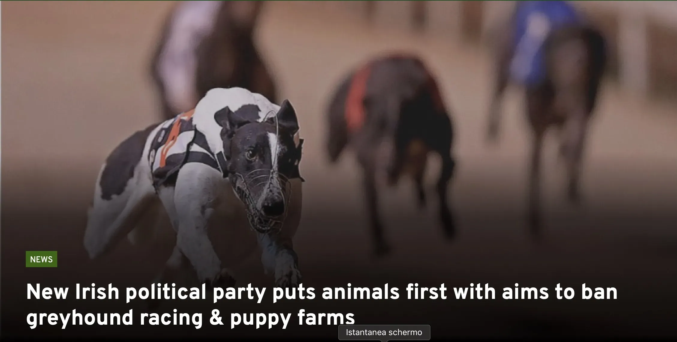 Schermata 2019 11 20 alle 12.43.29 1