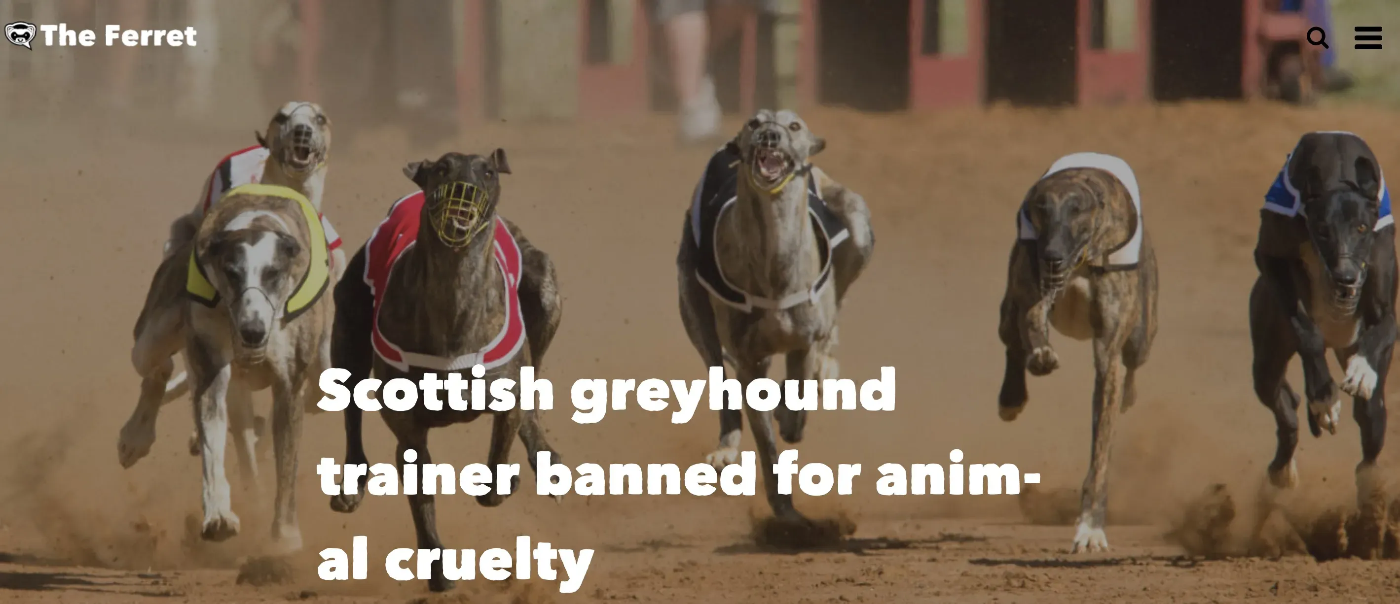 Schermata 2020 02 06 alle 08.45.52