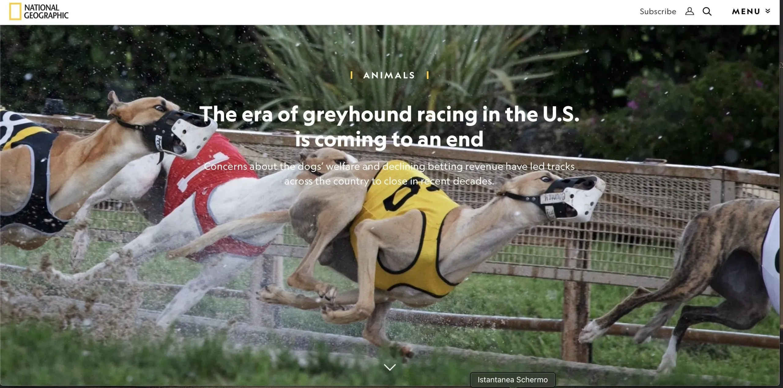 Schermata 2020 10 18 alle 08.07.13 scaled