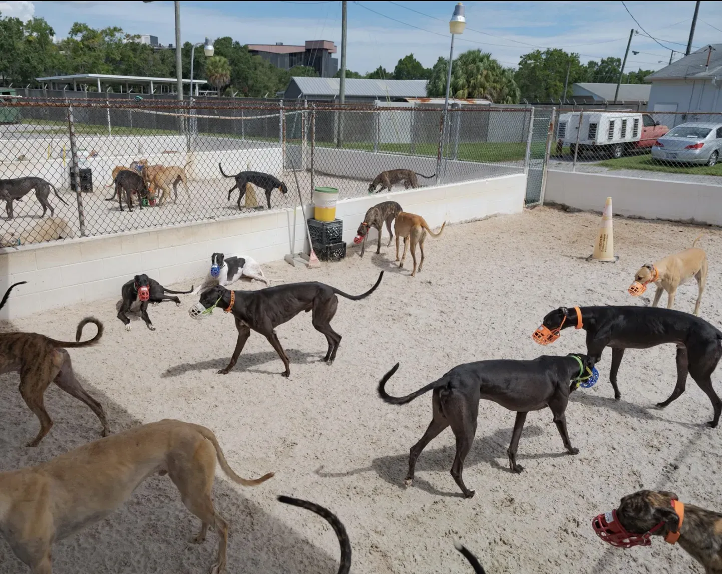 Schermata 2020 10 26 alle 07.41.12