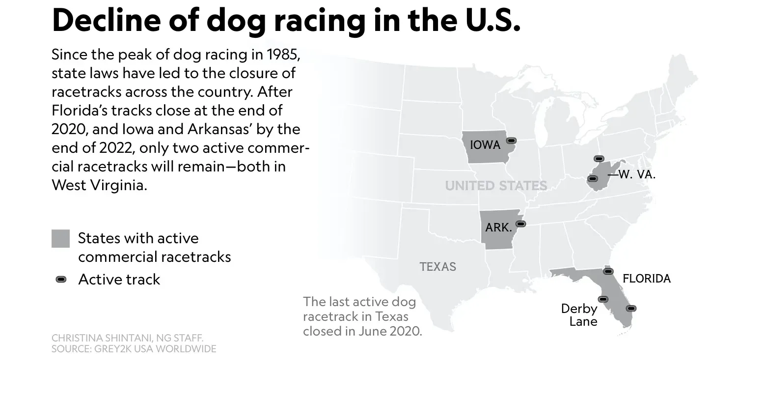 Schermata 2020 10 26 alle 11.58.36