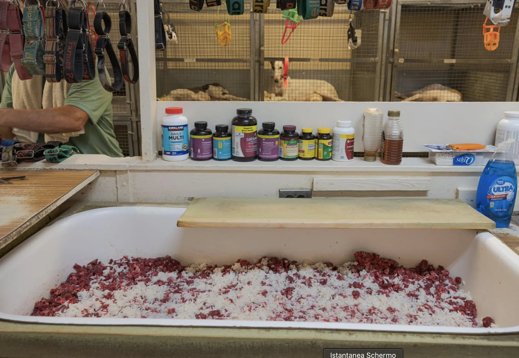 Schermata 2020 10 26 alle 11.59.20