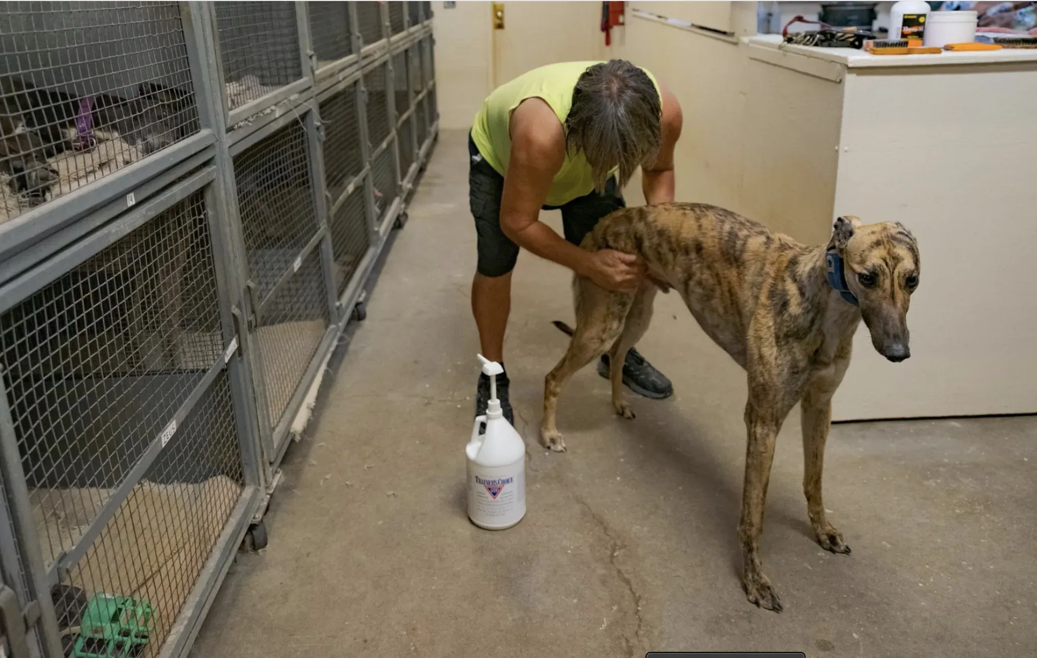 Schermata 2020 10 26 alle 11.59.37