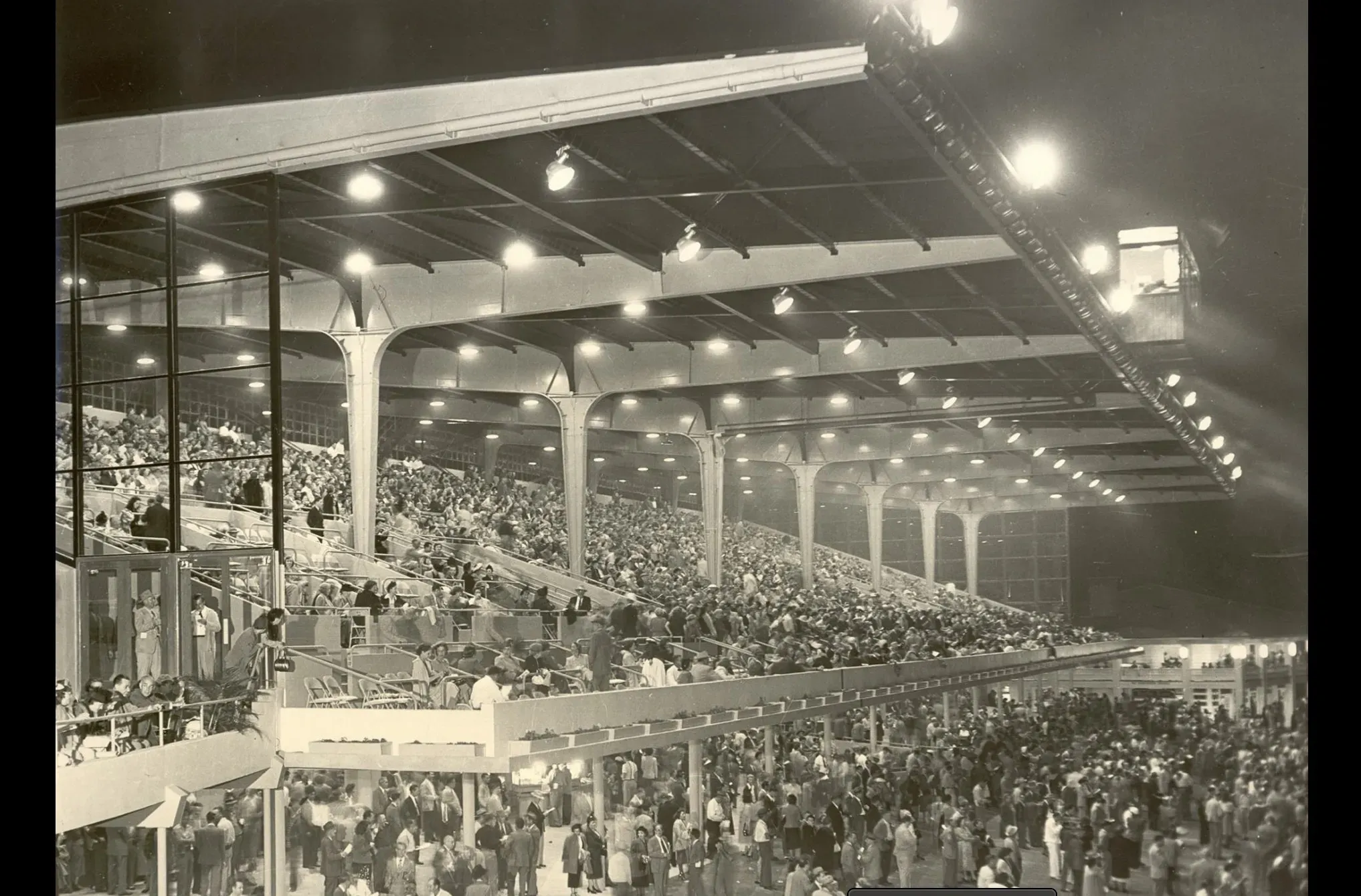 Schermata 2020 10 26 alle 12.00.01