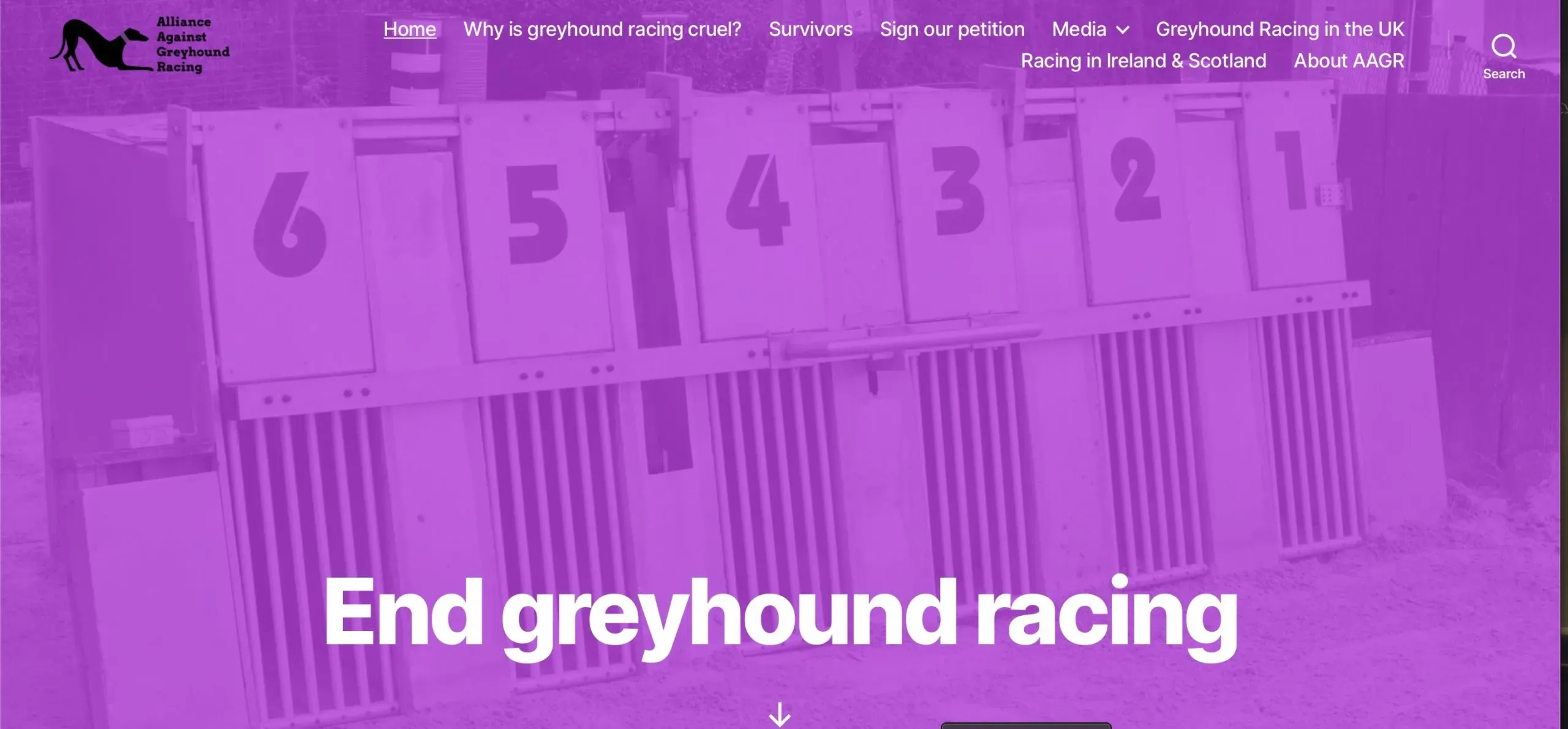 Schermata 2020 11 01 alle 16.30.49 scaled