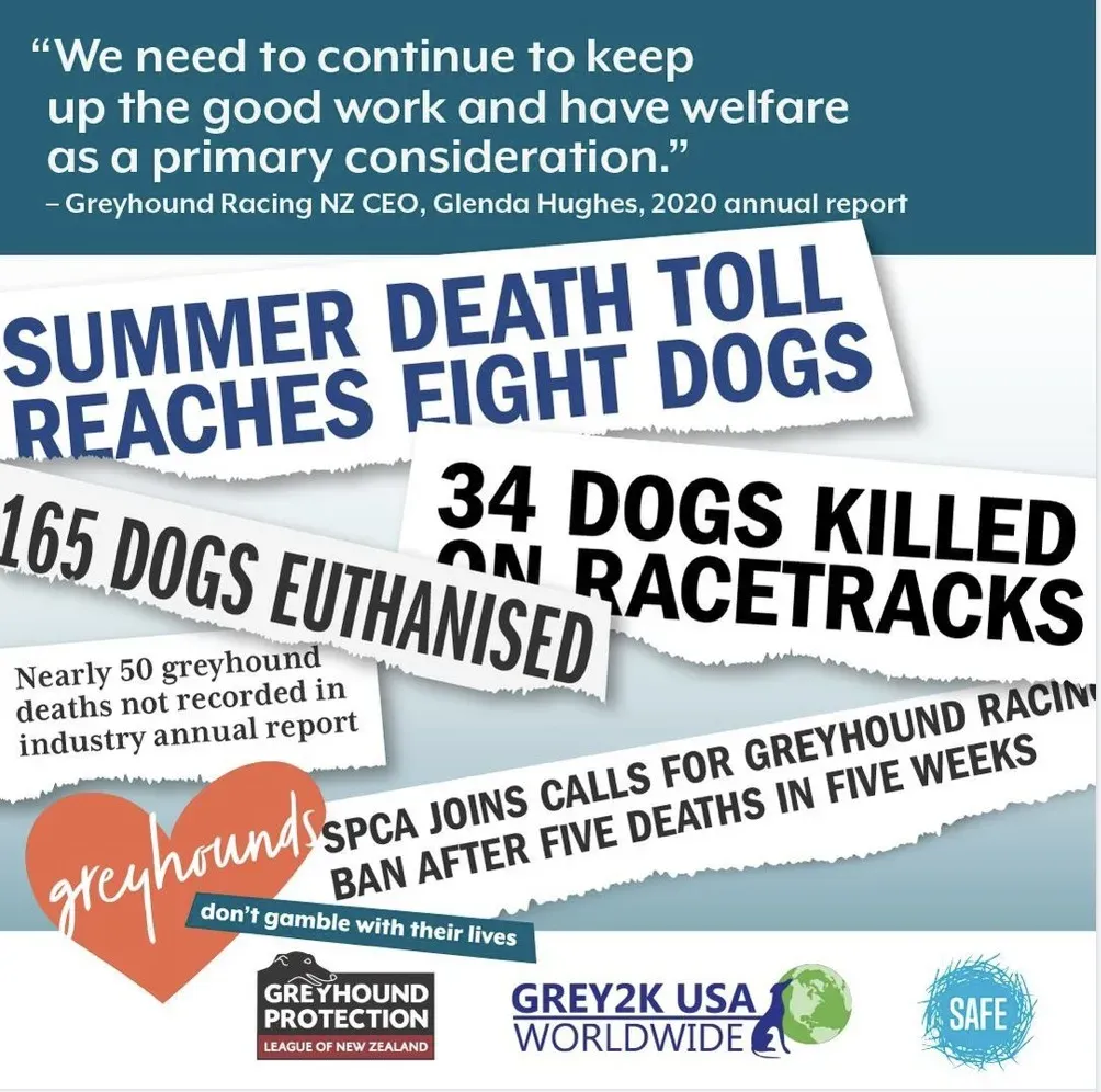 Schermata 2021 01 13 alle 07.05.04