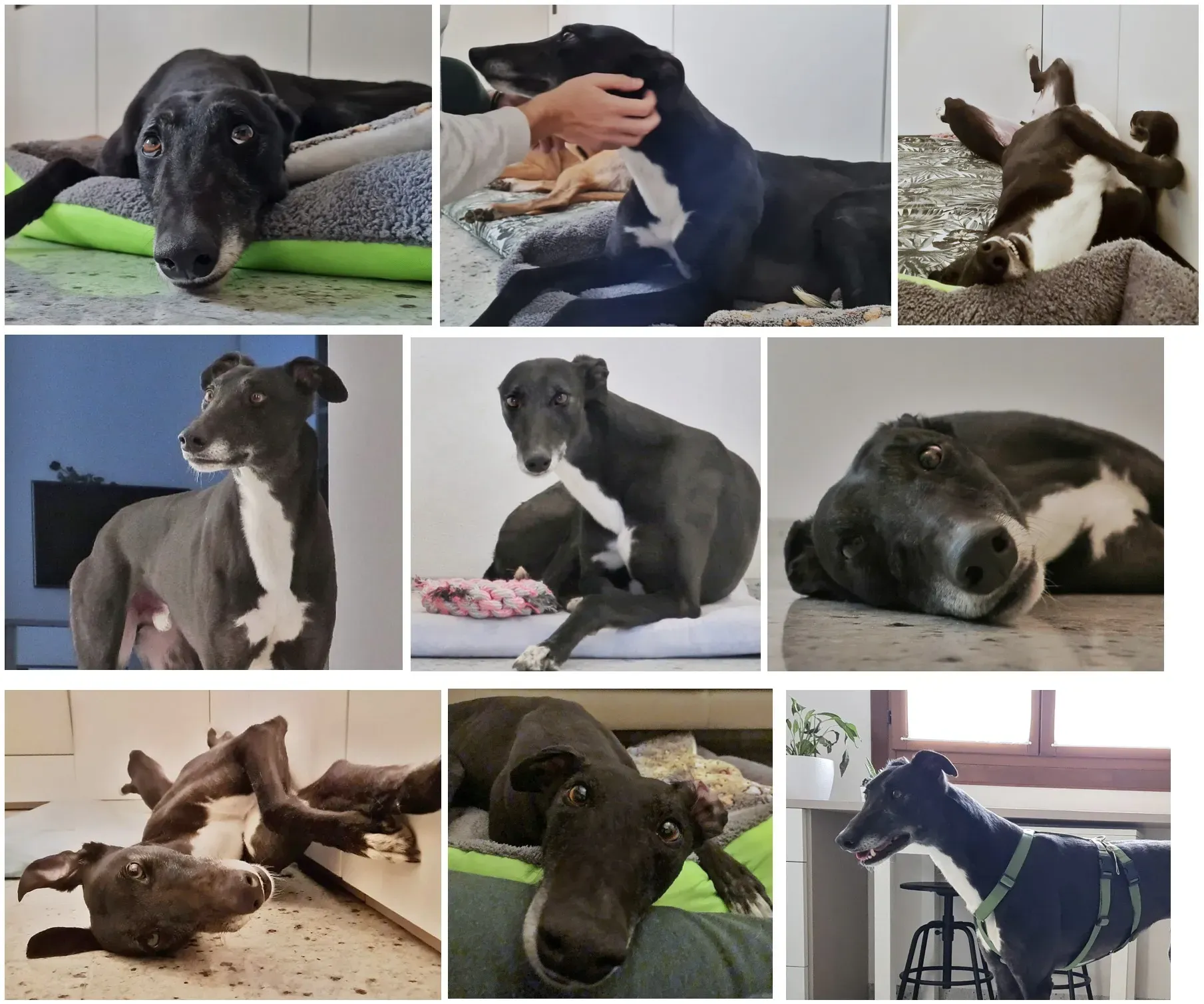 Schermata 2021 03 23 alle 08.20.32