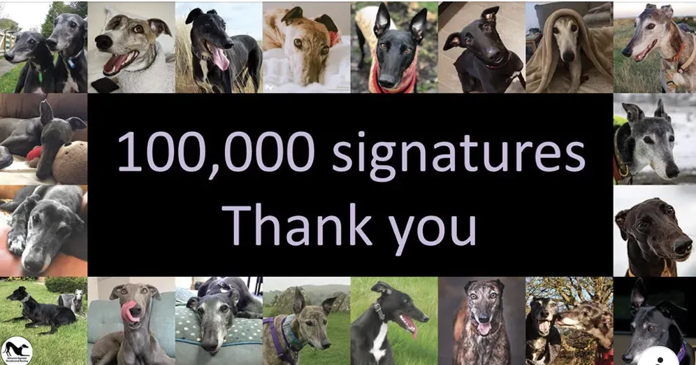 Schermata 2021 04 20 alle 12.26.46