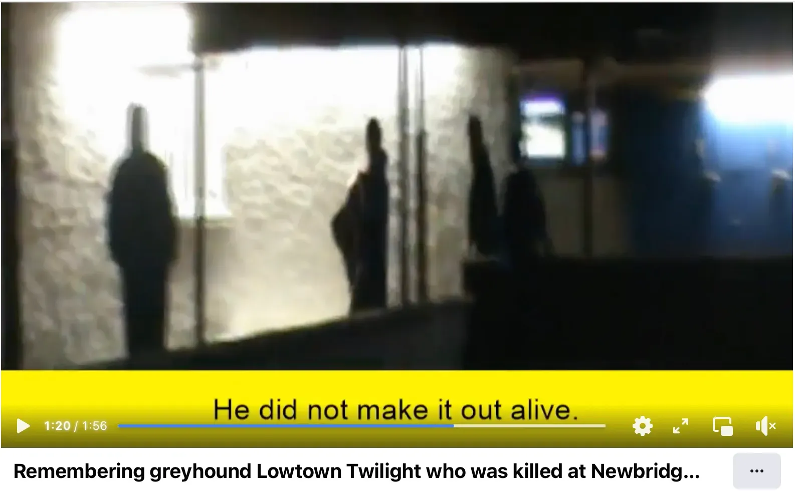 Schermata 2022 08 29 alle 12.07.50