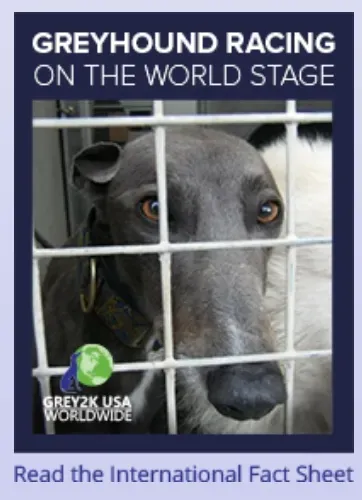 Screenshot 2017 06 02 15.32.08