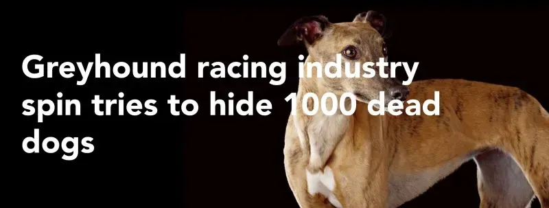 Screenshot 2018 03 31 16.28.45