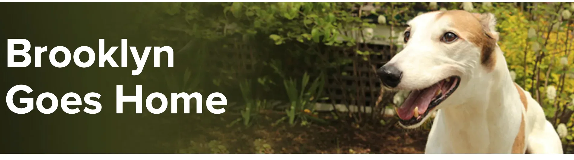 Screenshot 2023 10 29 alle 17.30.34