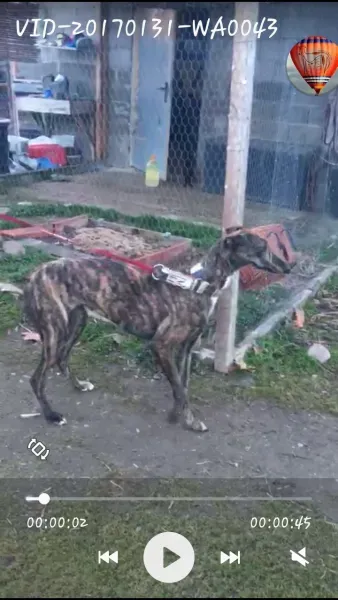 Screenshot 2017 02 01 18 13 51