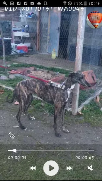 Screenshot 2017 02 01 18 13 54