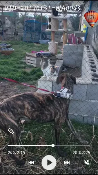 Screenshot 2017 02 01 18 14 21