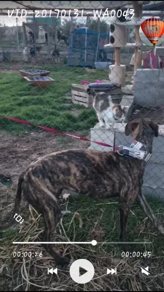 Screenshot 2017 02 01 18 14 25