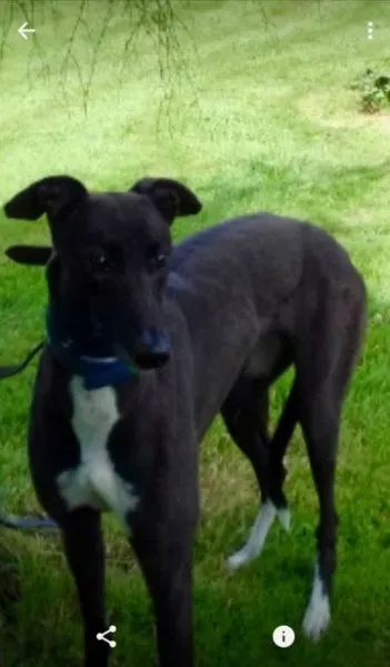 Screenshot 2017 07 13 14 33 37