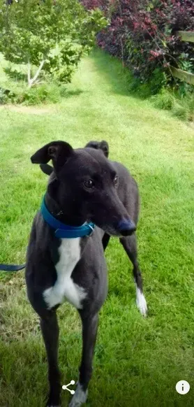 Screenshot 2017 07 13 14 34 35