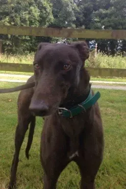 Screenshot 2017 07 13 14 41 51