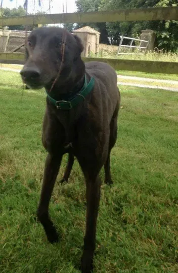 Screenshot 2017 07 13 14 42 49