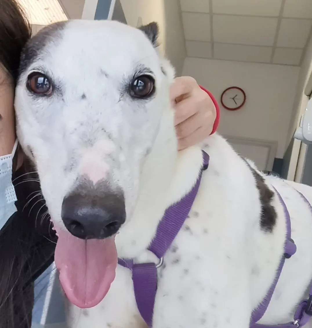 Screenshot 20210417 152708 Gallery 01 e1618913958295