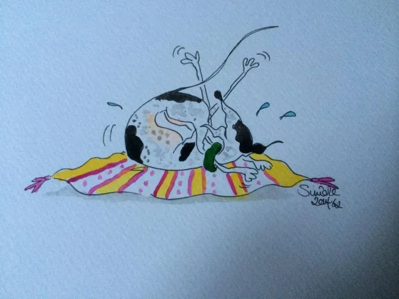 Sight hound yoga position No 369 Foot caught in collar