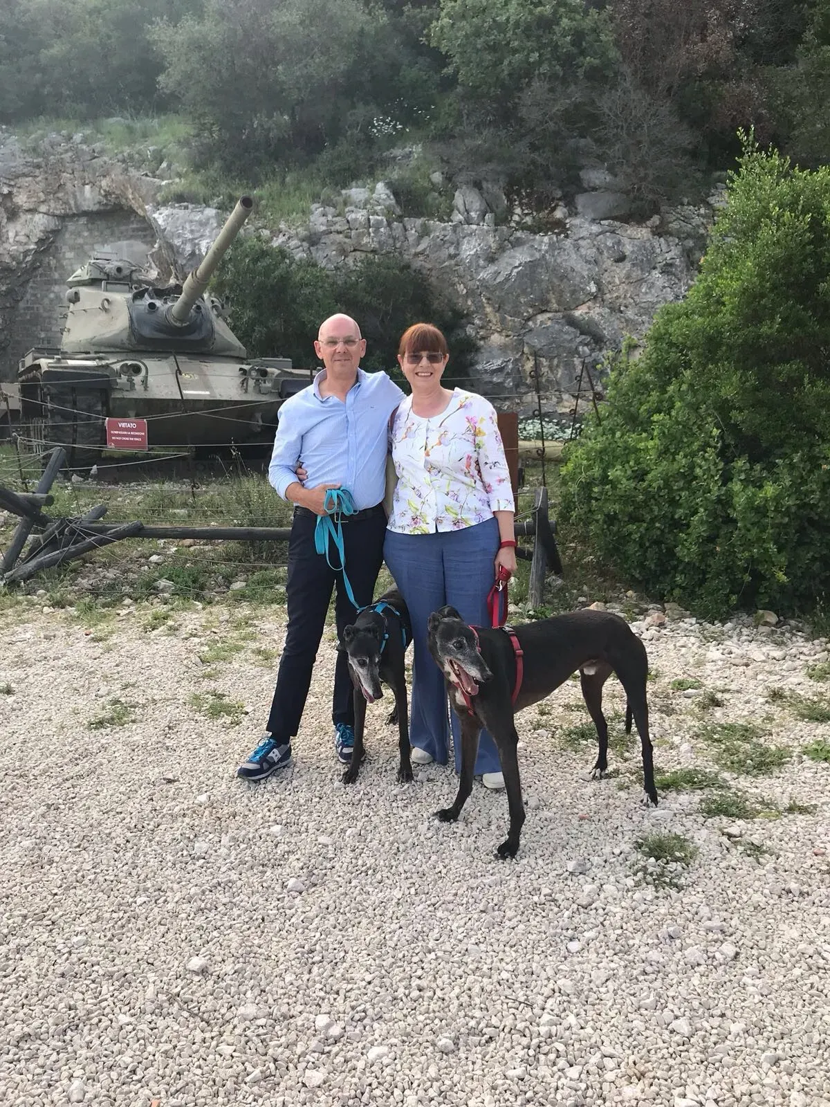 Silver Rory Greyhounds Adozione levrieri felici a casa