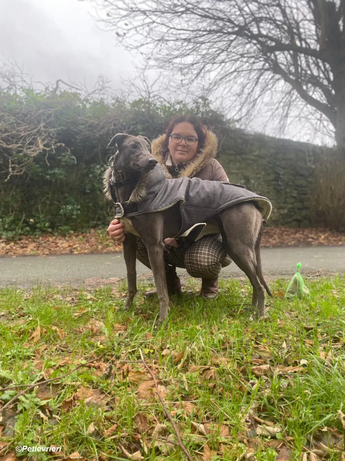 Sky adozione levrieri greyhound 18