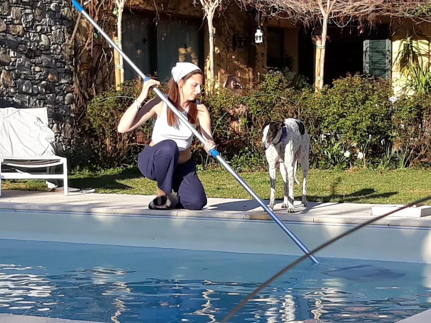 Smoke Rumble Gryhound Macau arrivo in Italy 9