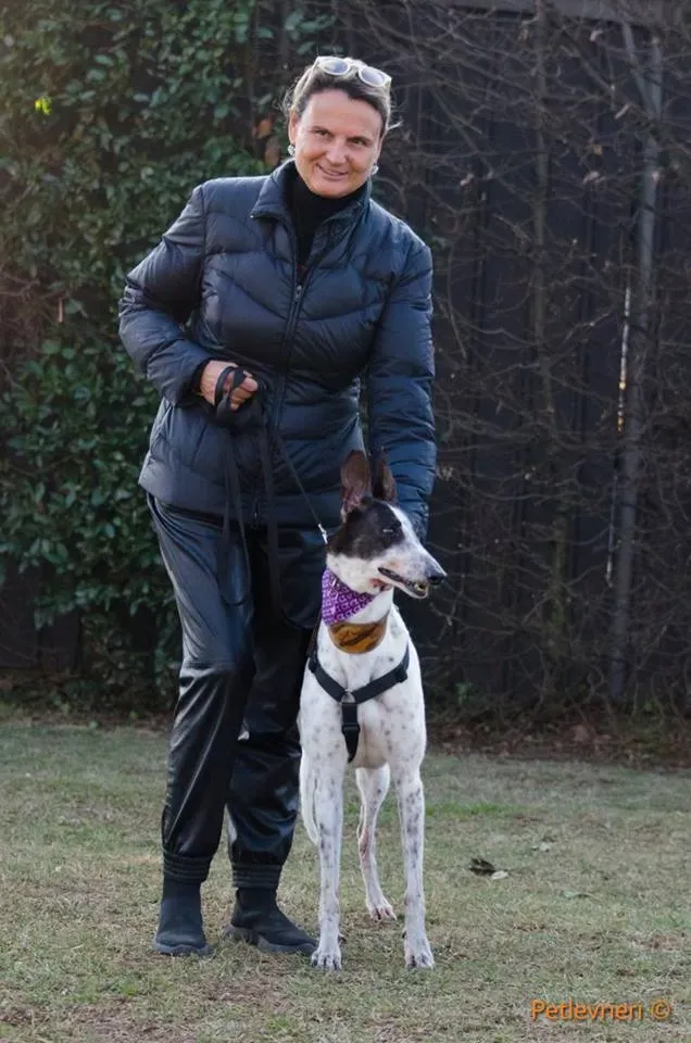 SmokeRumble adozione greyhound macao 6