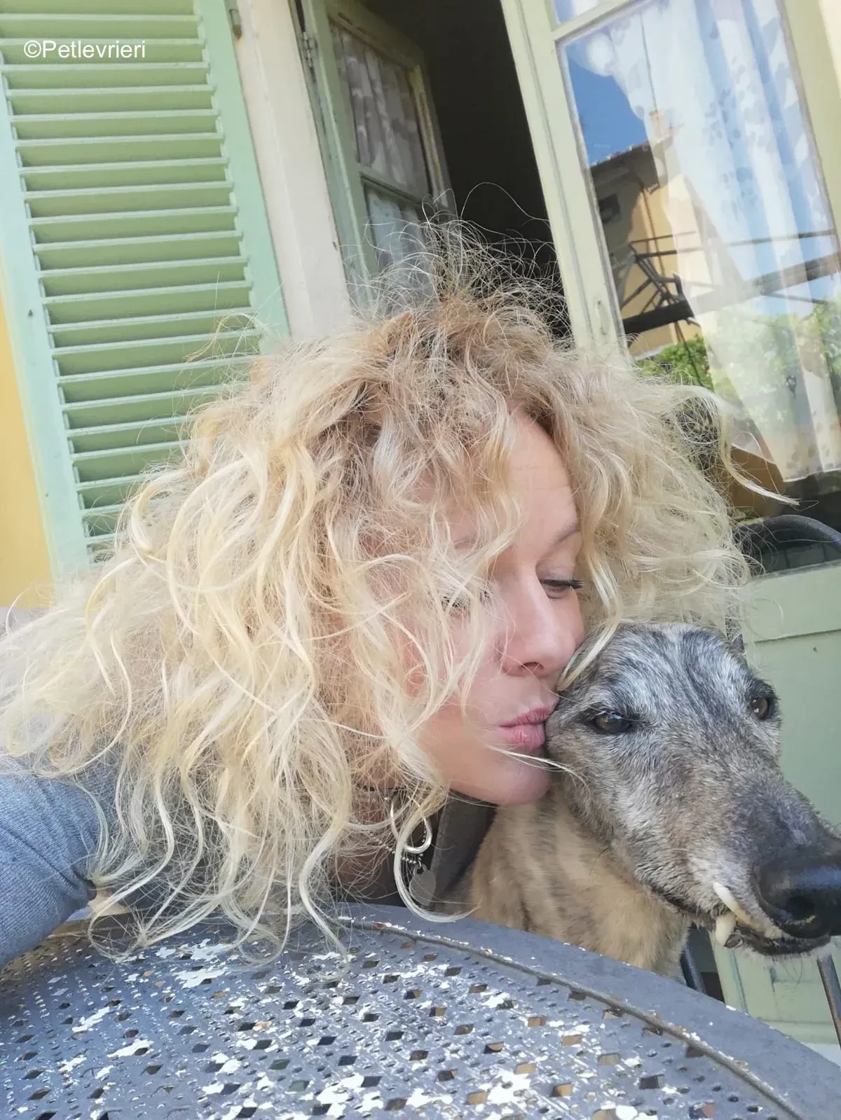 Surfy greyhound macao 12