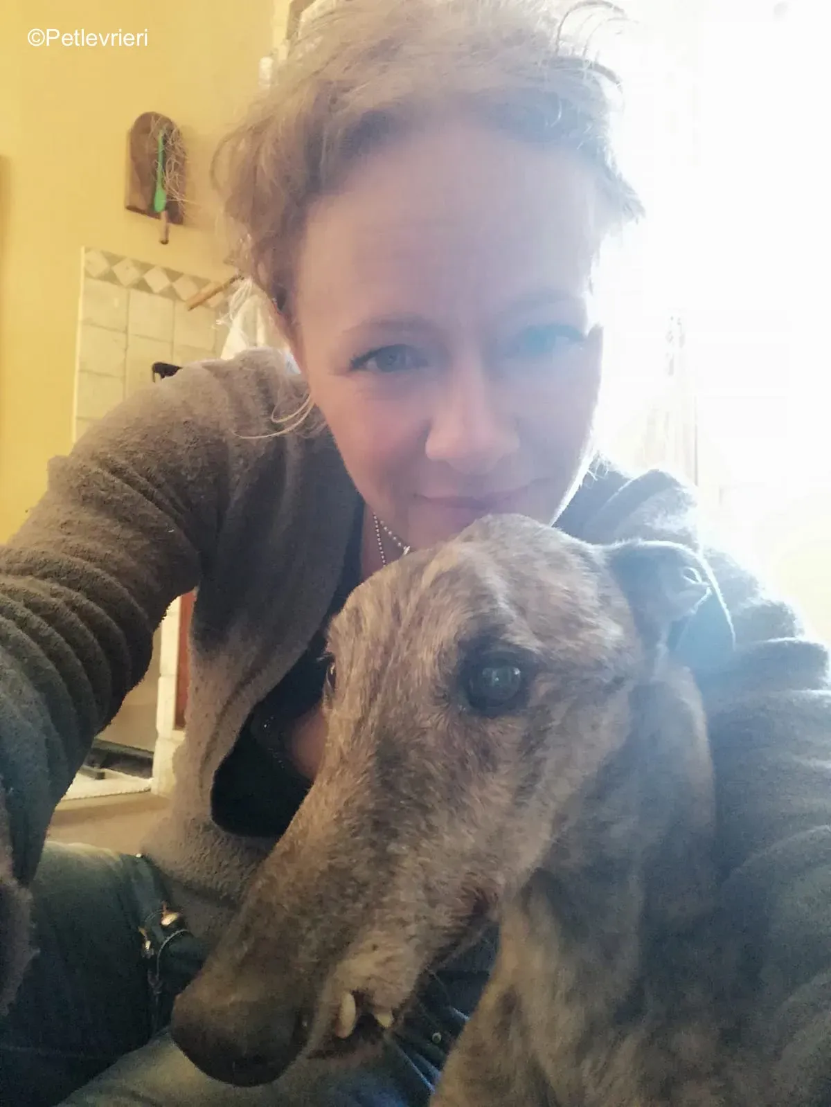 Surfy greyhound macao 26