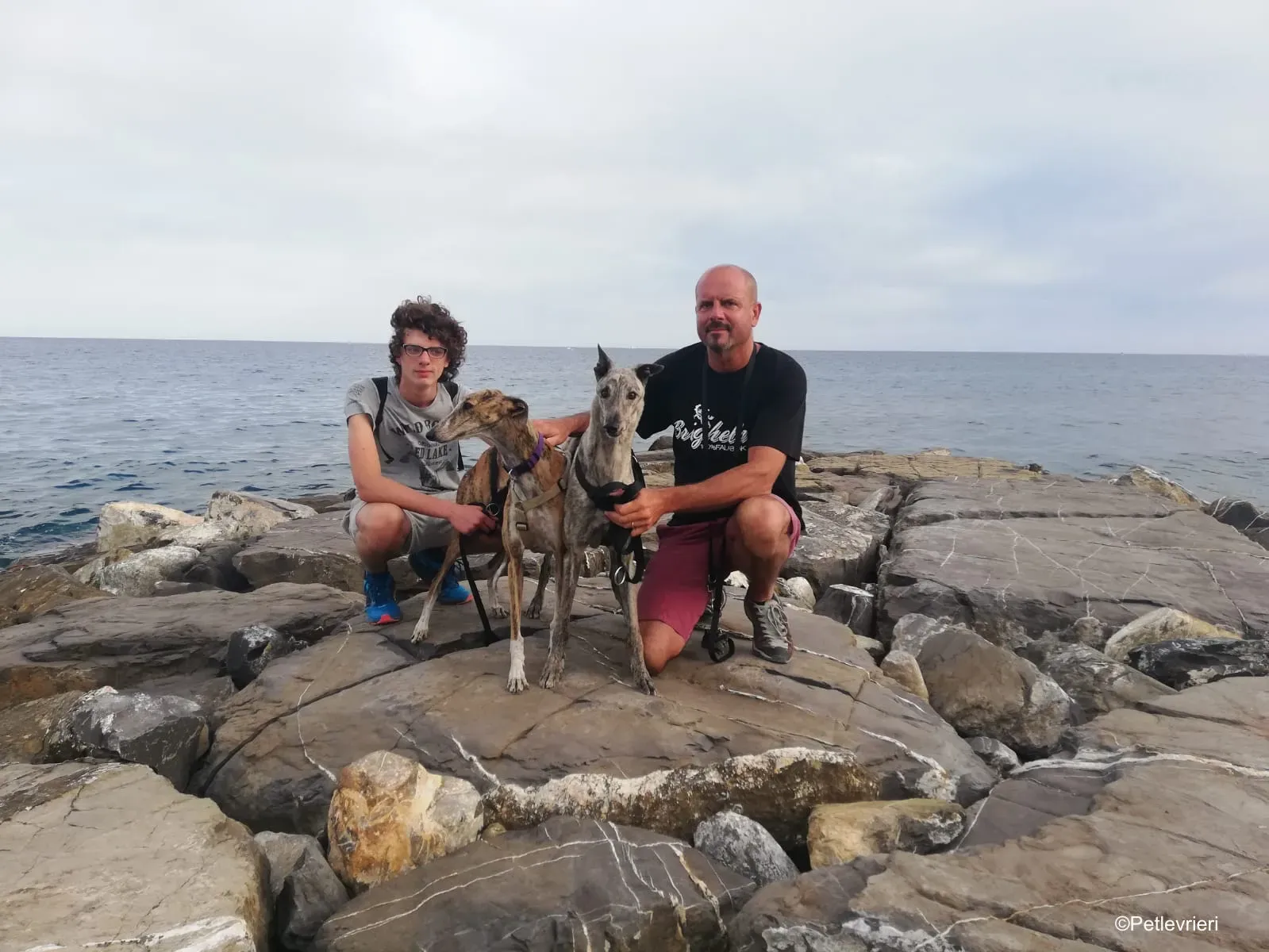 Surfy greyhound macao 5