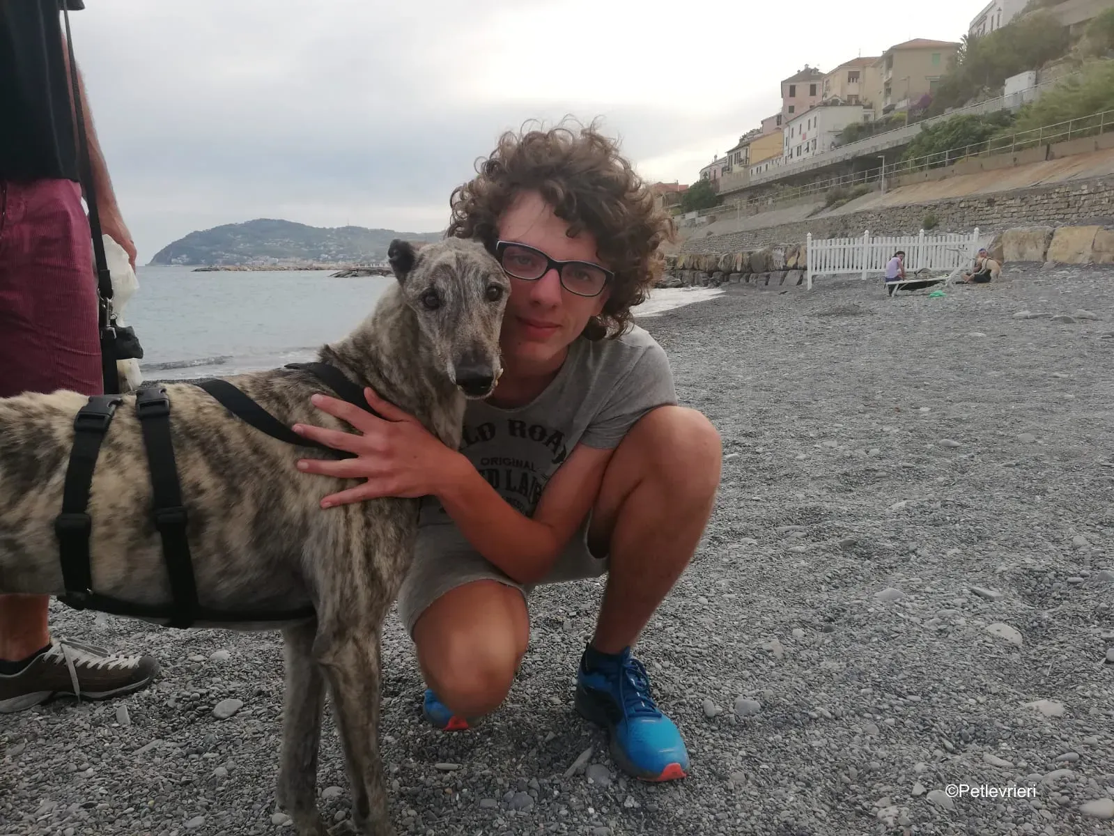 Surfy greyhound macao 6