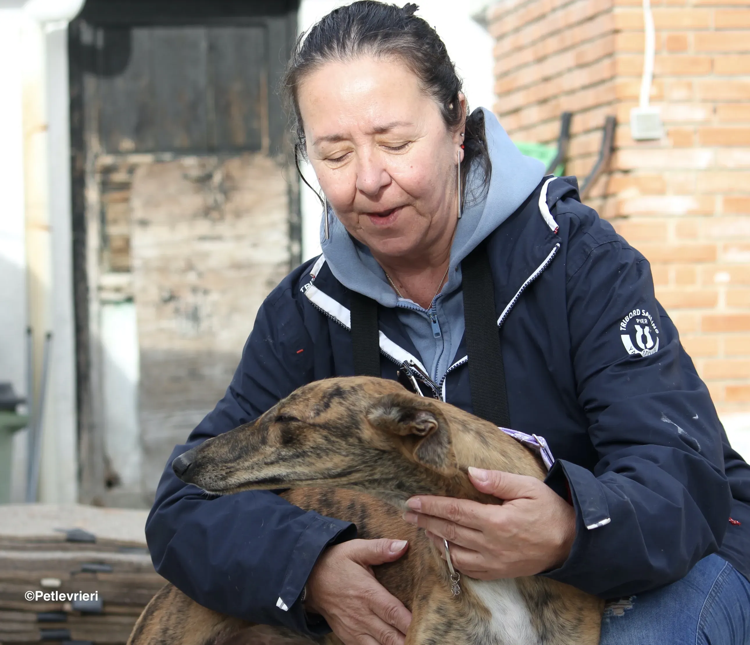 Susanna adozione levrieri galgo 13